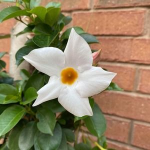 Meet your Posher, Shauna